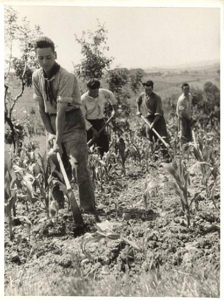 Un’altro WWOOFing è possibile?